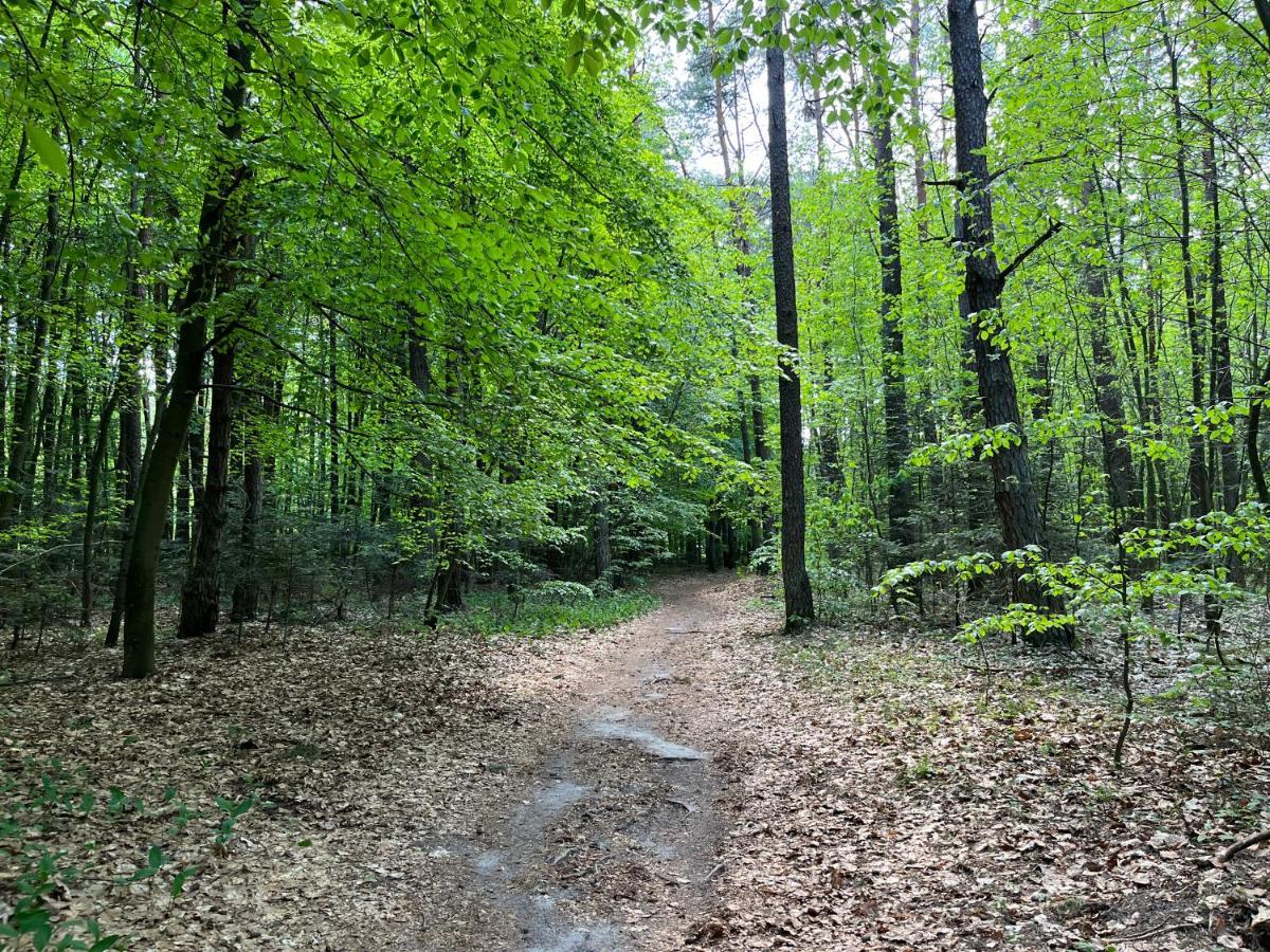 Apartamenty Kielce- Green Forest Apartament, Faktura, Parking, Centrum Bagian luar foto